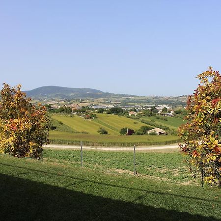 Villa Belvedere Degli Ulivi Osimo Zewnętrze zdjęcie