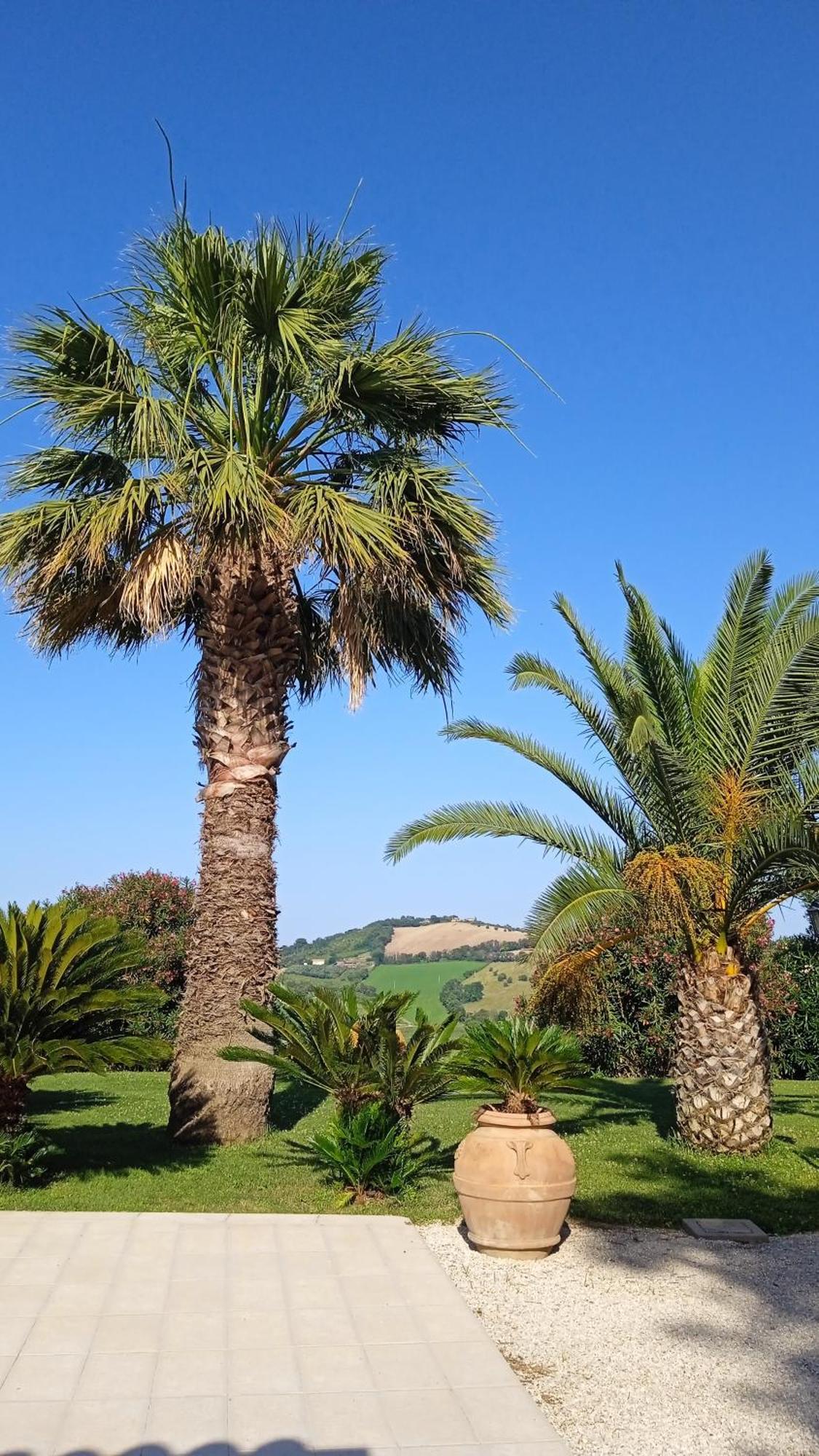 Villa Belvedere Degli Ulivi Osimo Zewnętrze zdjęcie